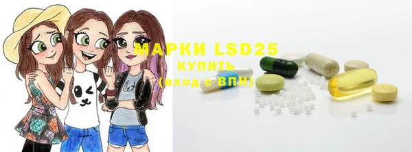 гашик Липки