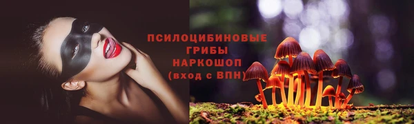 мескалин Весьегонск