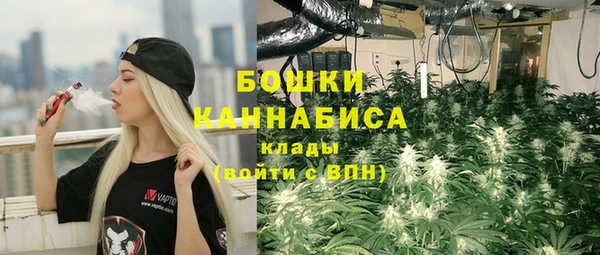 гашик Липки