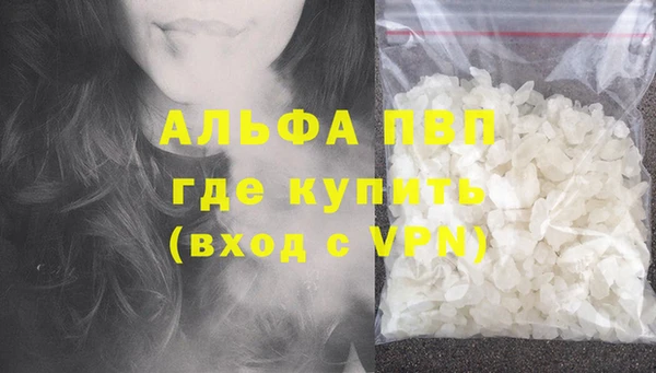 гашик Липки