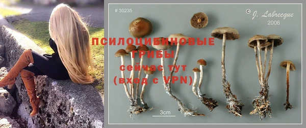 кокс Лиски