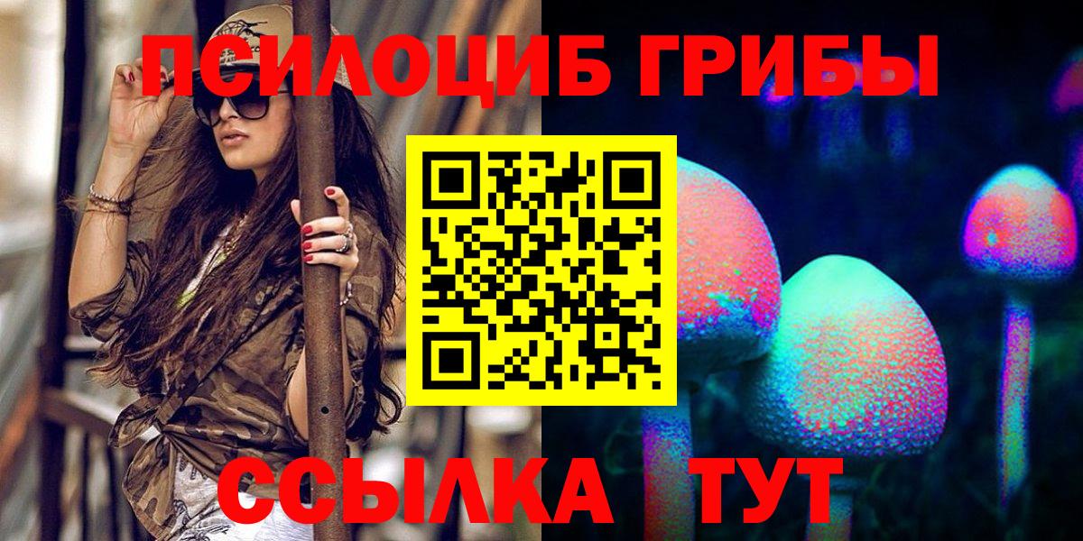 купить наркотики сайты  Псилоцибиновые грибы Magic Shrooms  Вход с VPN  Белгород 