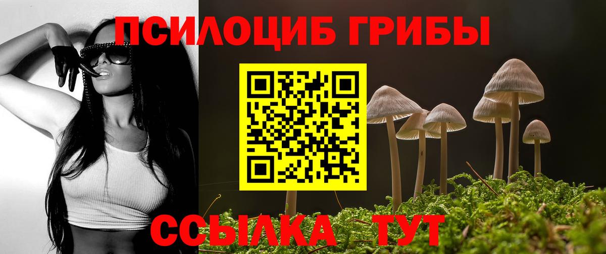 Галлюциногенные грибы Psilocybine cubensis Белгород